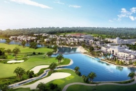 Plans to plant forest in Dubai desert